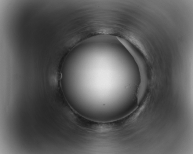 X0000090710305200707201220