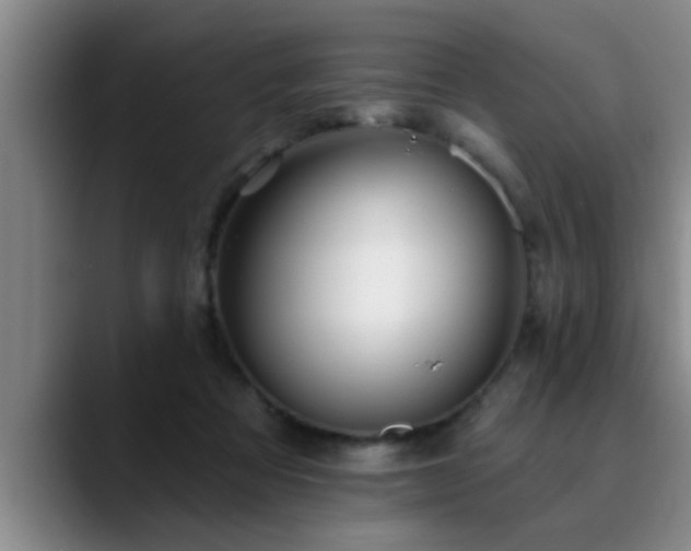 X0000090710313200707201220