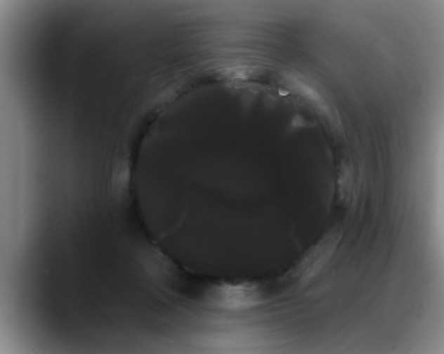 X0000090710314200707201220