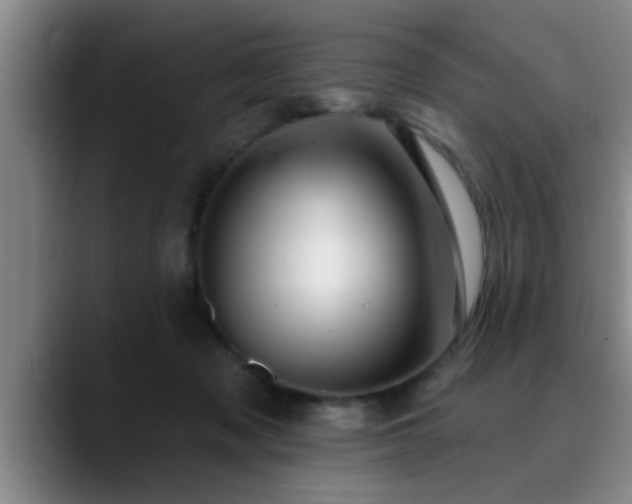 X0000090710317200707201220