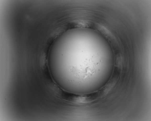 X0000090710318200707201220