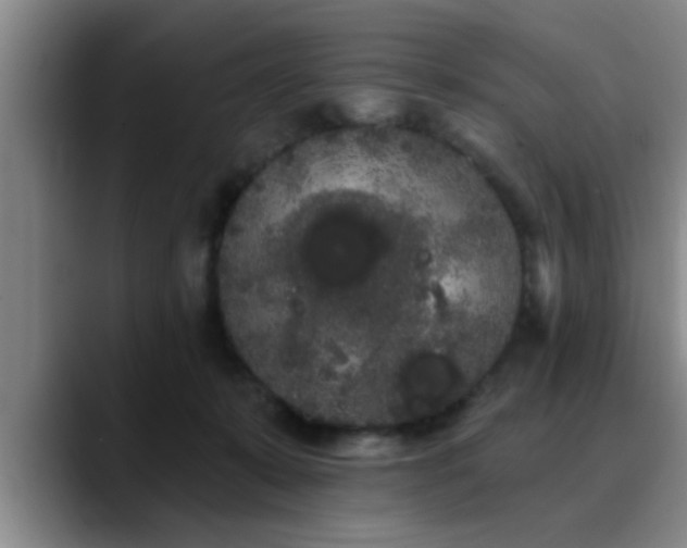 X0000090710319200707201220