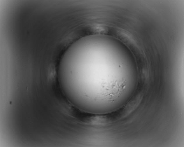 X0000090710320200707201220