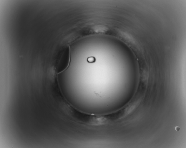 X0000090710321200707201220