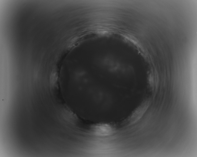 X0000090710322200707201220