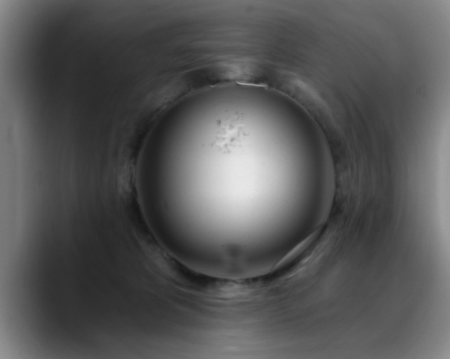 X0000090710325200707201220