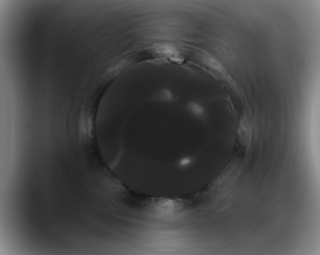 X0000090710330200707201220