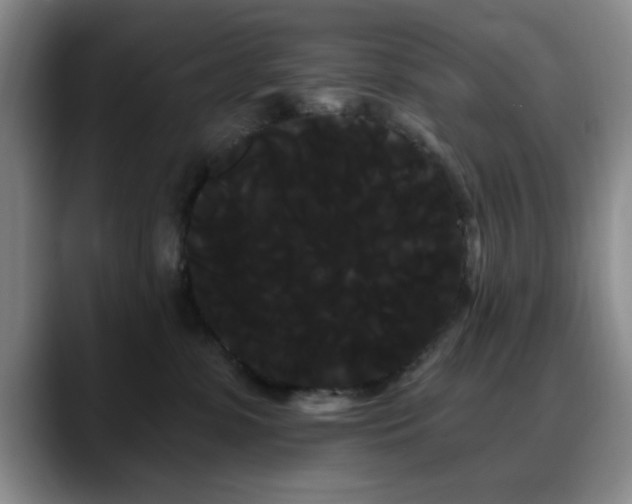 X0000090710331200707201220