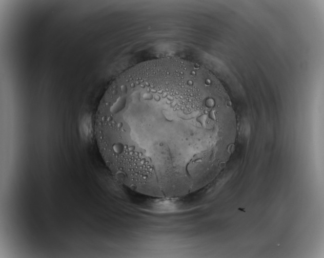 X0000090710335200707201220