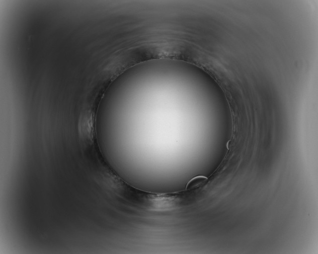 X0000090710336200707201220