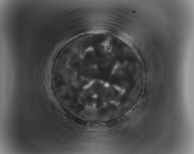 X0000090710337200707201219