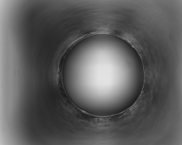 X0000090710338200707201219