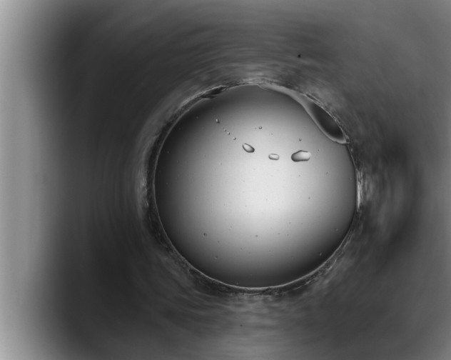 X0000090710339200707201219