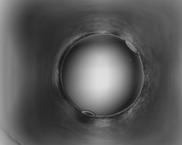 X0000090710342200707201219