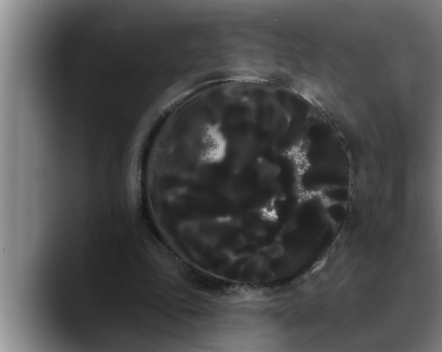 X0000090710343200707201219