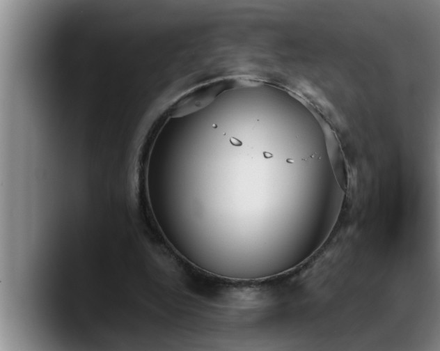 X0000090710344200707201219