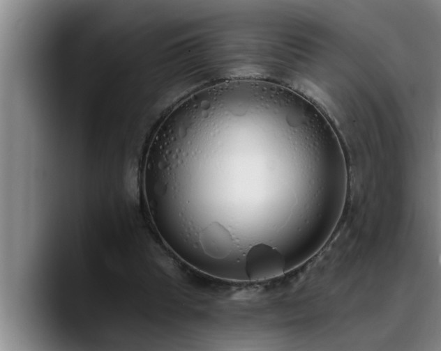 X0000090710345200707201219