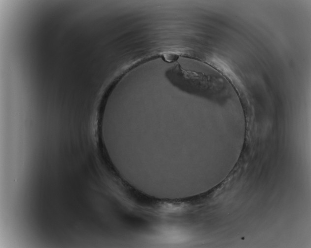 X0000090710346200707201219