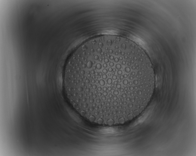 X0000090710349200707201219