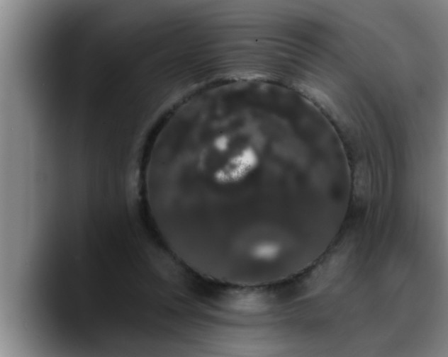 X0000090710351200707201219