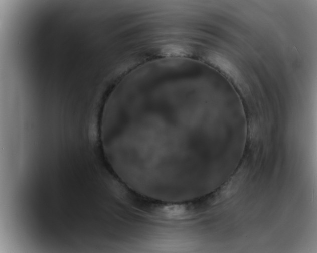 X0000090710353200707201219