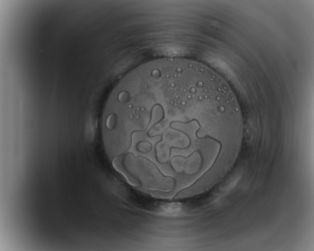 X0000090710355200707201219