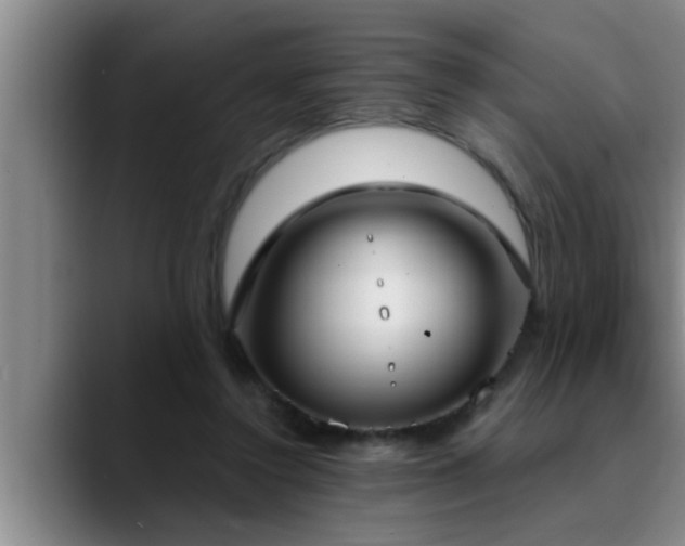 X0000090710356200707201219