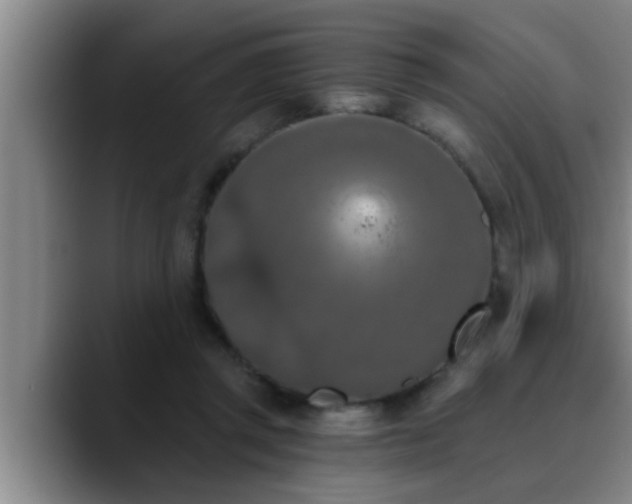 X0000090710357200707201219