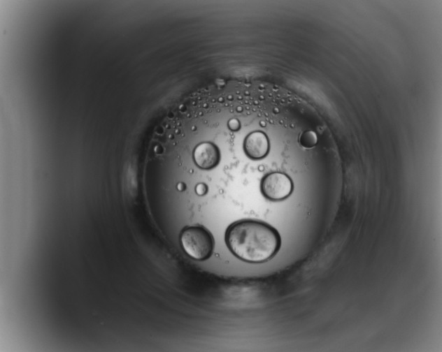 X0000090710358200707201219