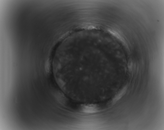 X0000090710359200707201219