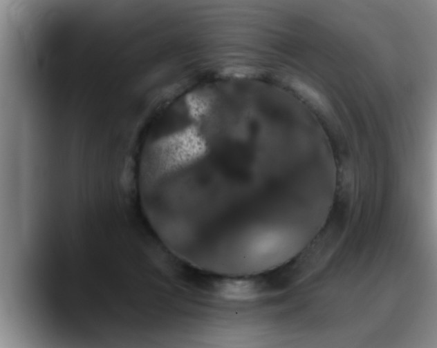 X0000090710361200707201219