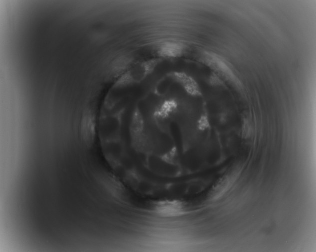 X0000090710363200707201219