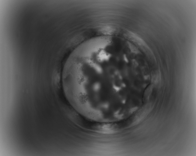 X0000090710365200707201219