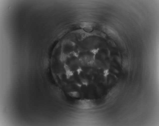 X0000090710367200707201219