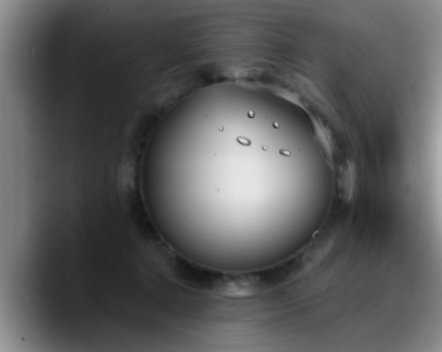 X0000090710368200707201220