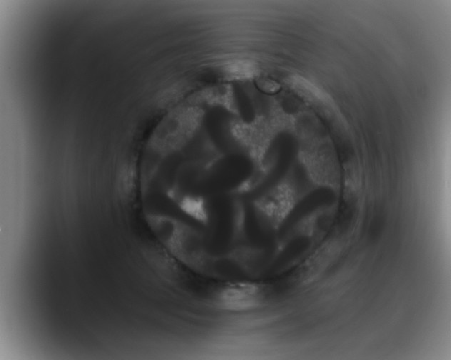 X0000090710369200707201220