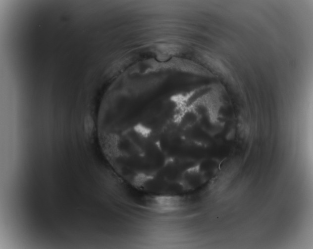 X0000090710371200707201220