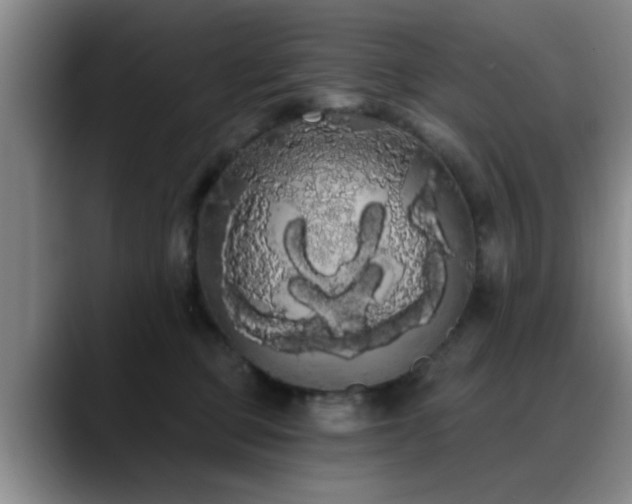 X0000090710373200707201220