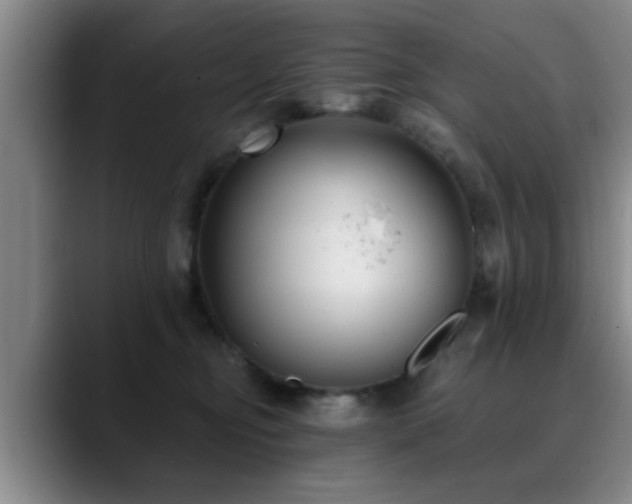 X0000090710374200707201220