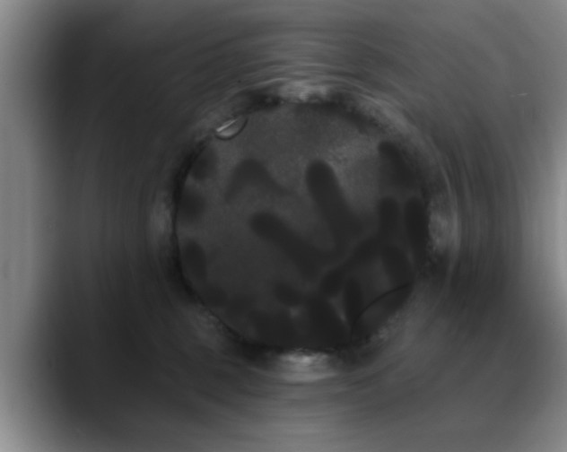 X0000090710375200707201220