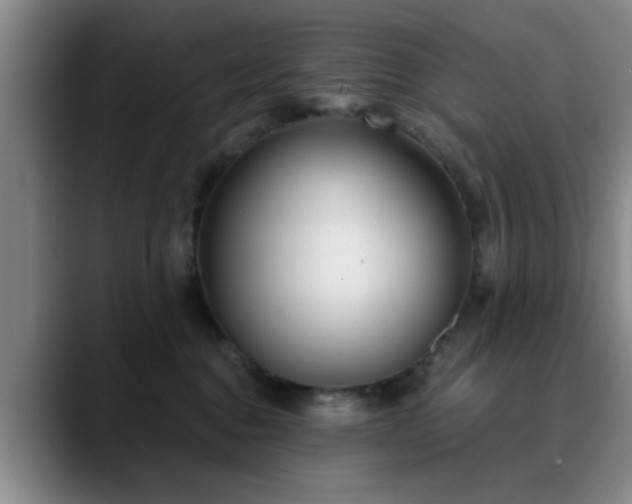 X0000090710376200707201220