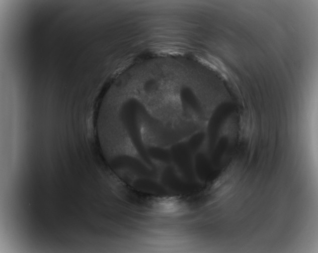 X0000090710377200707201220