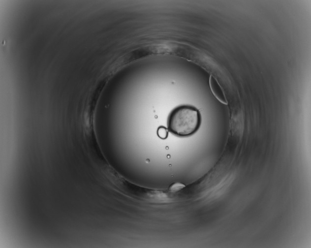 X0000090710381200707201220