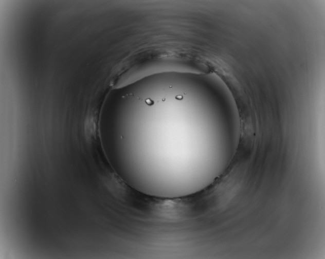 X0000090710382200707201220