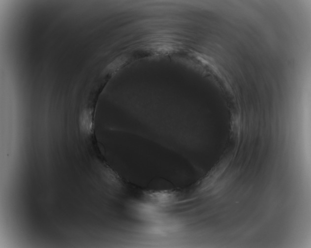 X0000090710383200707201220