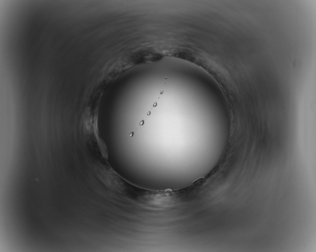 X0000090710384200707201220