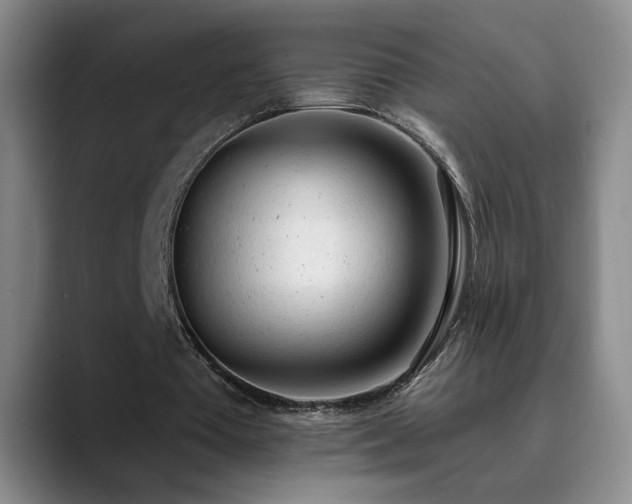 X0000090710385200707201219