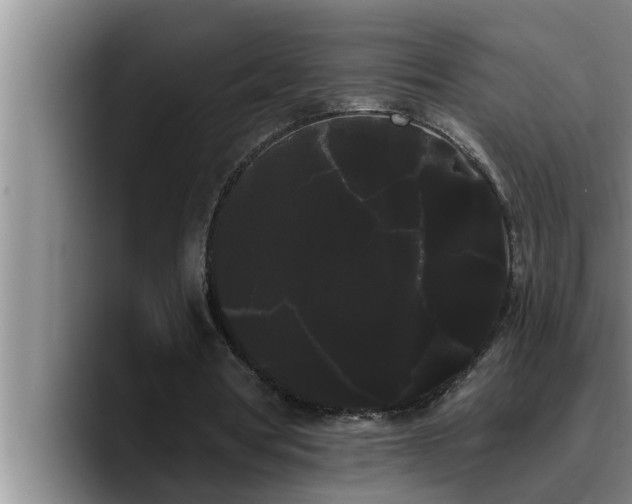 X0000090710386200707201219