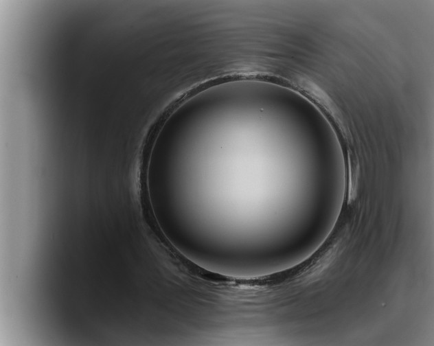 X0000090710387200707201219