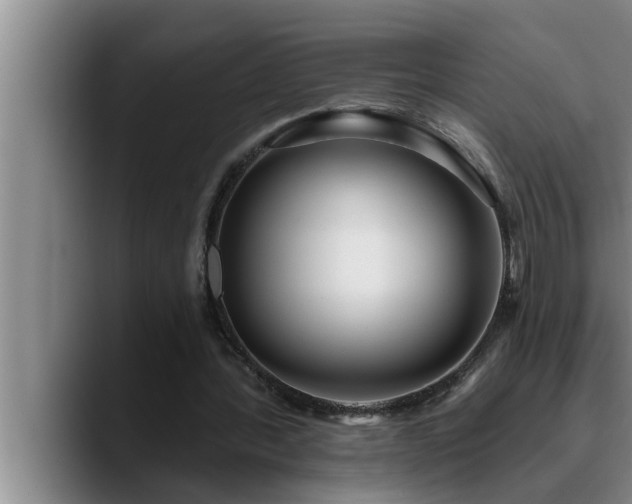 X0000090710388200707201219